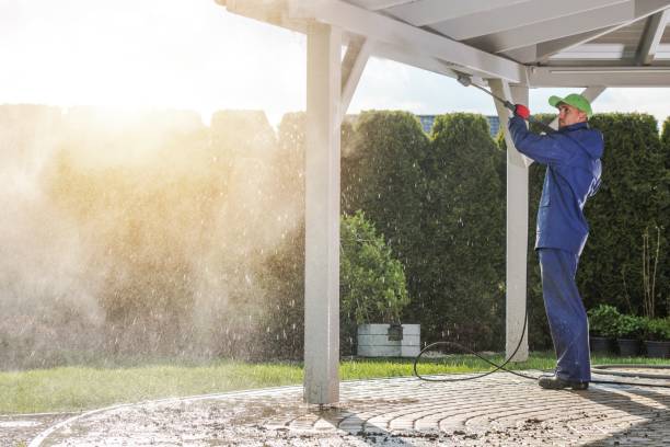 Best Building Exterior Washing  in Roseburg, OR