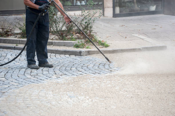 Best Driveway Pressure Washing  in Roseburg, OR